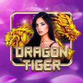 Rồng Hổ 79kg casino